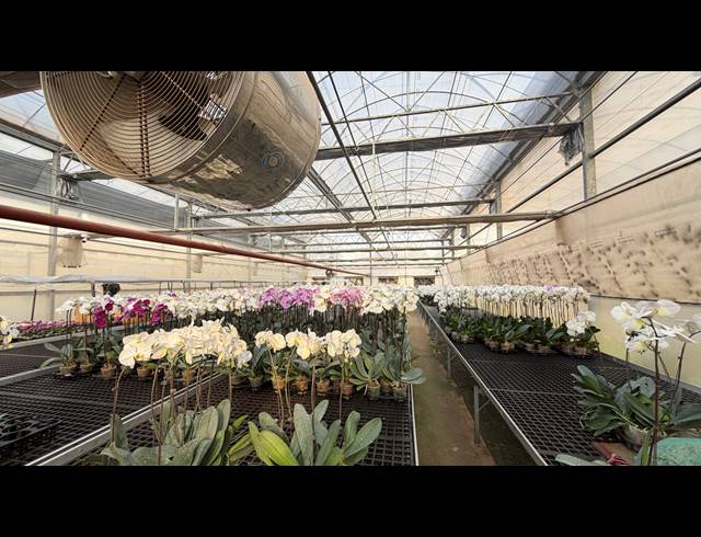 40,471M² SMALLHOLDING FOR SALE IN BENONI AH